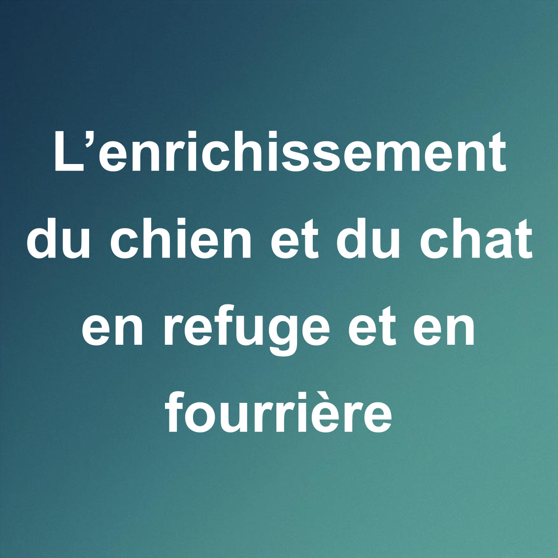 Formation L’enrichissement du chien et du chat en refuge et fourrière
