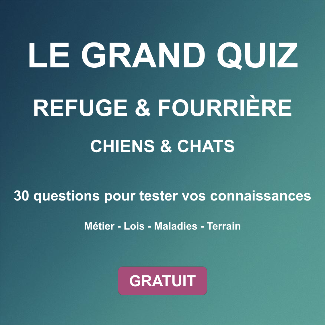 Le grand quiz refuge et fourrière : chiens et chats. 30 questions pour tester vos connaissances. Gratuit.